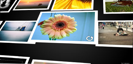 galeria2