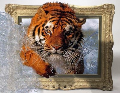 tiger