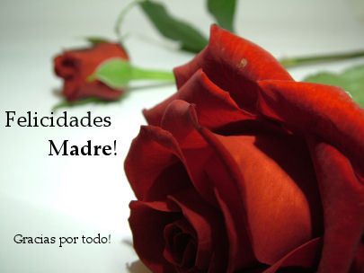 Dia_de_las_madres2