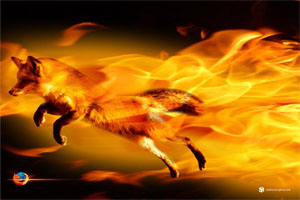 firefox2 firefox2