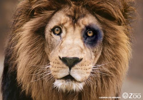 image013 image013