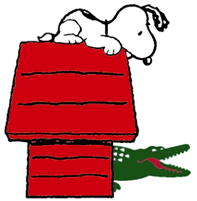 lacoste3