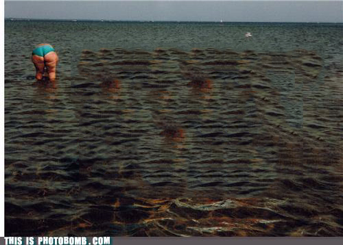 Is-That-a-Buoy-7