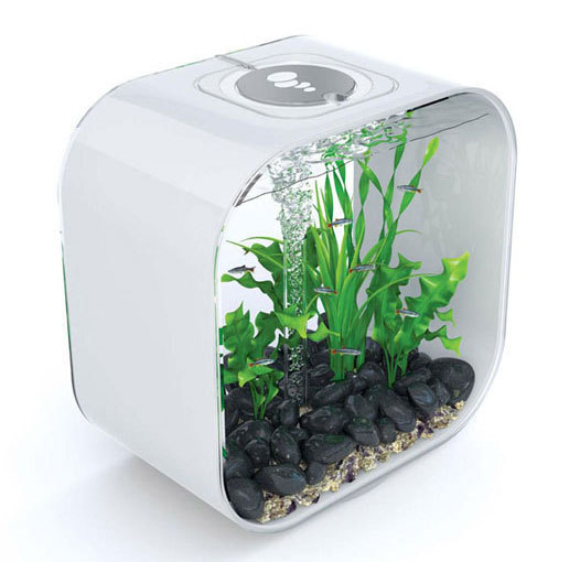 bioorb_rect540