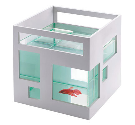 fish-condo_rect540