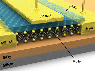 MoS2 FET with local gate - 5_0d with labels 2