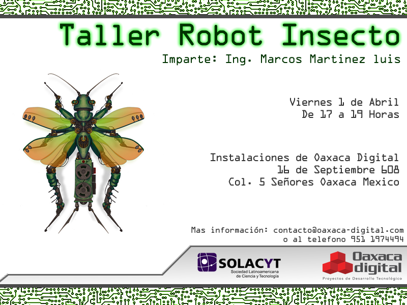taller_insecto(1)